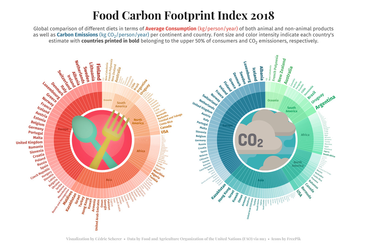 TidyTuesday Week 2020 08 Carbon Footprint Index 2018